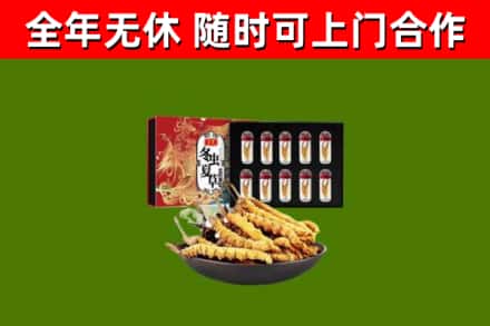 京山市烟酒回收冬虫夏草礼盒.jpg
